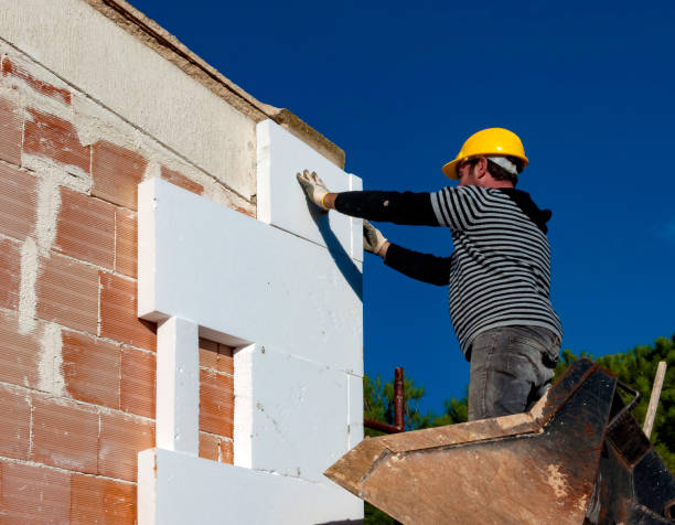 Best Insulation Maintenance and Repair in Romeovle, IL