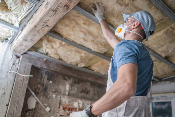Best Residential Insulation in Romeovle, IL