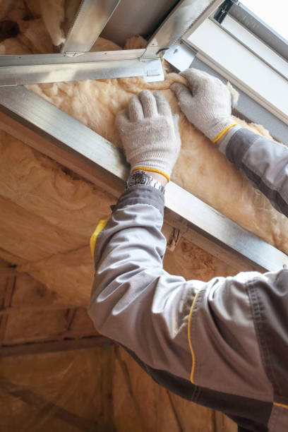 Best Insulation Installation Services in Romeovle, IL