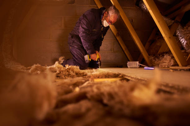 Best Commercial Insulation in Romeovle, IL